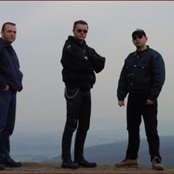 Raven - List pictures