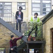 Test Icicles - List pictures