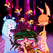 Studio Killers - List pictures