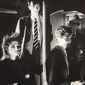 Bauhaus - List pictures