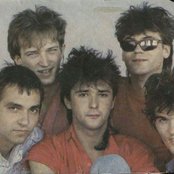 Crvena Jabuka - List pictures