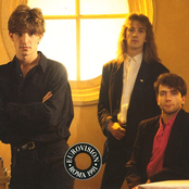 Clouseau - List pictures