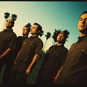 Strung Out - List pictures