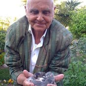 Hans-joachim Roedelius - List pictures