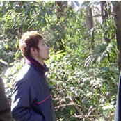 Euphoria - List pictures