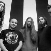 Hybrid - List pictures