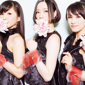 Perfume - List pictures