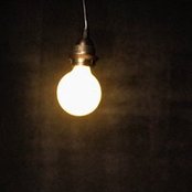 Oren Lavie - List pictures