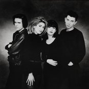 Lush - List pictures