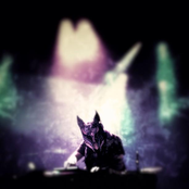 Slow Magic - List pictures