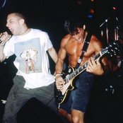 Shelter - List pictures