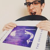 Labyrinth Ear - List pictures