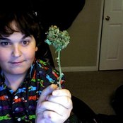 Andy Milonakis - List pictures