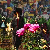 Tear Garden - List pictures