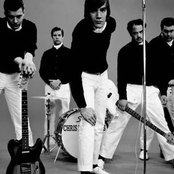 Hives - List pictures