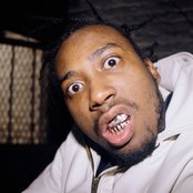 Ol' Dirty Bastard - List pictures