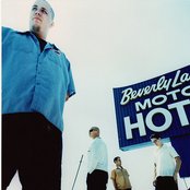 Stavesacre - List pictures