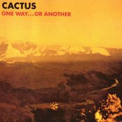 Cactus - List pictures