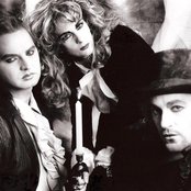 Big Electric Cat - List pictures