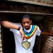 Lungz - List pictures