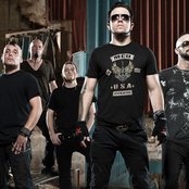 Bobaflex - List pictures