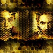 Beast - List pictures