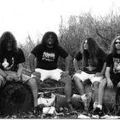 Solstice - List pictures