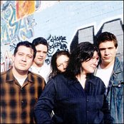 Breeders - List pictures