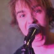 Rotten Bark - List pictures