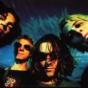 Posies - List pictures