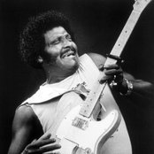 Albert Collins - List pictures