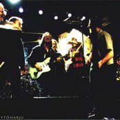 X-legged Sally - List pictures