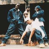 Profyle - List pictures