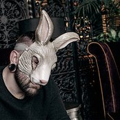 The Bunny The Bear - List pictures