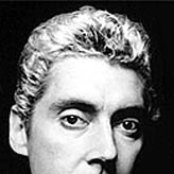 Budgie - List pictures