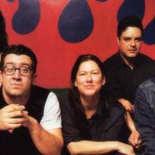 Breeders - List pictures