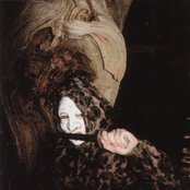 Death In June - List pictures