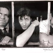 The Fags - List pictures