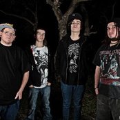 Brutal Savage Violent - List pictures