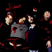 Red Hot Chili Peppers - List pictures