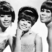 The Marvelettes - List pictures