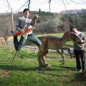 Harry And The Potters - List pictures