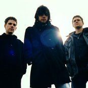 Calla - List pictures