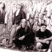 Evol - List pictures