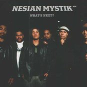 Nesian Mystik - List pictures