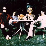 Posies - List pictures