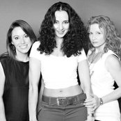 Solid Harmonie - List pictures