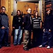 Submersed - List pictures