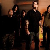 Soil - List pictures