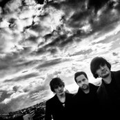 Puggy - List pictures